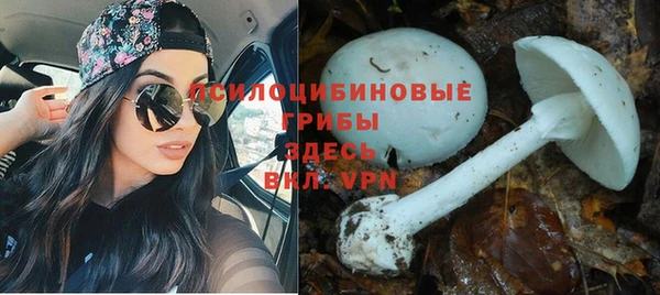 круглые Алексин