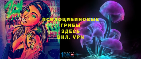 ALPHA-PVP Алексеевка
